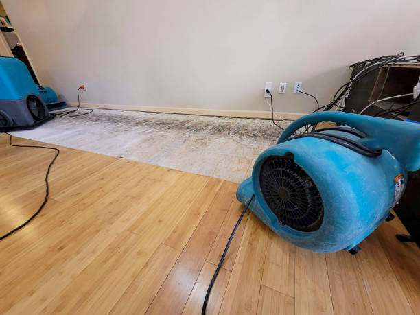 Professional Water Damage Repair technician working in Del Rio, CA